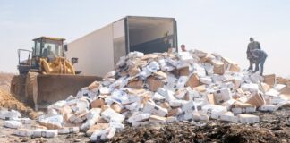 Ouagadougou : Plus de 26 tonnes de poissons avariés saisies et détruites