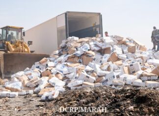 Ouagadougou : Plus de 26 tonnes de poissons avariés saisies et détruites