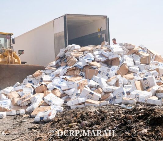 Ouagadougou : Plus de 26 tonnes de poissons avariés saisies et détruites