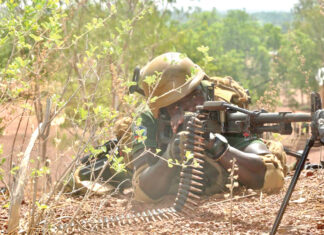 Lutte contre le terrorisme et protection de l’environnement: la double mission des Unités combattantes des eaux et forêts