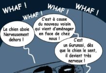 Sourire du 22-01-2025