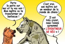 Sourire du 30-01-2025