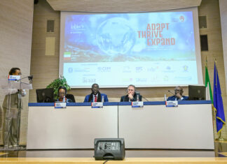 Italie-Afrique business week : Le potentiel du made in Africa présenté à Rome