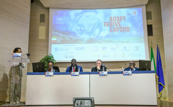 Italie-Afrique business week : Le potentiel du made in Africa présenté à Rome