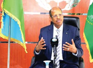 Commission de l’UA : le Djiboutien Ali Mahamoud Youssouf élu président
