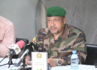 Visa communautaire au sein de l’AES: les experts examinent la question