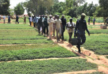 Suivi de la campagne agricole sèche : le Premier ministre dans le Centre-Nord