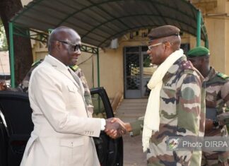 Coopération militaire : Le Mali et Sénégal mutualisent les efforts