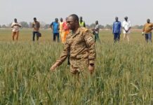 Suivi de la campagne agricole : Le ministre d’Etat, Ismaël Sombié en visite dans le Centre-Ouest, les Hauts-Bassins et les Cascades