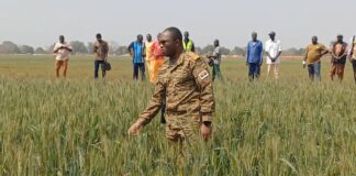 Suivi de la campagne agricole : Le ministre d’Etat, Ismaël Sombié en visite dans le Centre-Ouest, les Hauts-Bassins et les Cascades