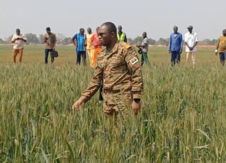 Suivi de la campagne agricole : Le ministre d’Etat, Ismaël Sombié en visite dans le Centre-Ouest, les Hauts-Bassins et les Cascades