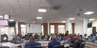 Association africaine de l’eau et de l’assainissement (AAEA): Pour plus de redynamisation de la structure