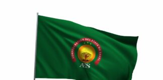 Lancement du drapeau de la Confédération des États du Sahel (AES)