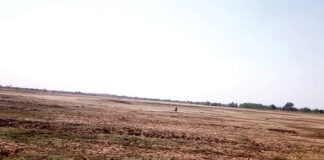 Changement climatique: L’assèchement précoce des barrages fragilise l’activité maraîchère