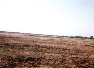 Changement climatique: L’assèchement précoce des barrages fragilise l’activité maraîchère