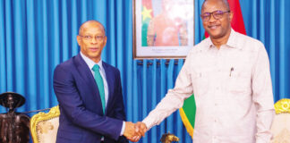 Coopération multilatérale : le Représentant-résidant du PNUD au Burkina Faso dit au revoir au ministre chargé des Affaires étrangères