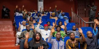 Assemblée législative de transition : le projet de loi portant statut de l’artiste adopté