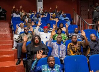 Assemblée législative de transition : le projet de loi portant statut de l’artiste adopté