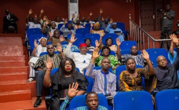 Assemblée législative de transition : le projet de loi portant statut de l’artiste adopté