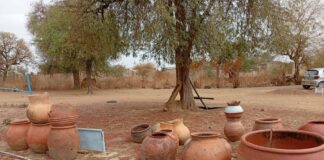 Musée de l’eau: un espace riche en patrimoine matériel de « l’or bleu »