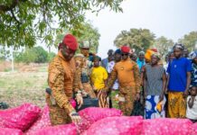 Journée internationale de la Femme 2025 : visite surprise du Chef de l’État aux productrices de légumes à Zongo