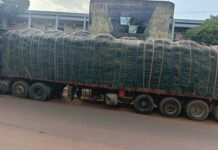 Lutte contre la fraude à l’exportation : 45 tonnes de noix brute de cajou saisies