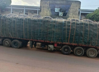 Lutte contre la fraude à l’exportation : 45 tonnes de noix brute de cajou saisies