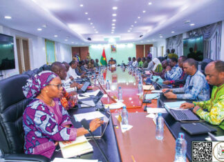 Conseil des ministres: le gouvernement crée la maison de l’Entreprise du Burkina Faso, établissement public de l’Etat à caractère professionnel