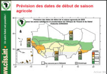 Prévisions saisonnières dans le Sahel et Afrique de l’Ouest : une saison des pluies globalement humide attendue en 2025