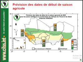 Prévisions saisonnières dans le Sahel et Afrique de l’Ouest : une saison des pluies globalement humide attendue en 2025