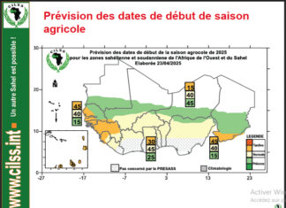 Prévisions saisonnières dans le Sahel et Afrique de l’Ouest : une saison des pluies globalement humide attendue en 2025
