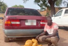 Lutte contre le trafic de stupéfiants : La Police Nationale saisit une vingtaine de kilogrammes de cannabis à Pô dans le Nahouri.