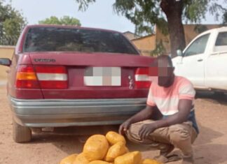 Lutte contre le trafic de stupéfiants : La Police Nationale saisit une vingtaine de kilogrammes de cannabis à Pô dans le Nahouri.