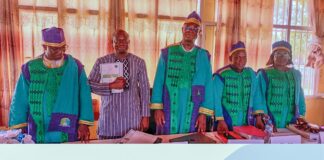 Soutenance de thèse : Moctar Sanfo se penche sur le Site de sculptures sur granite de Laongo