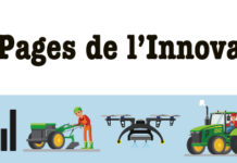 Autosuffisance alimentaire au Burkina Faso : les semences de sorgho double usage, un « remède » durable