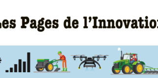 Autosuffisance alimentaire au Burkina Faso : les semences de sorgho double usage, un « remède » durable