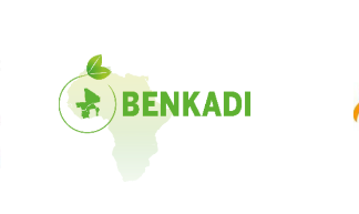 SPONG: Plan de Travail Annuel et de Budget 2025