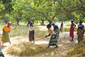 Screenshot 2025-04-24 12.55.29