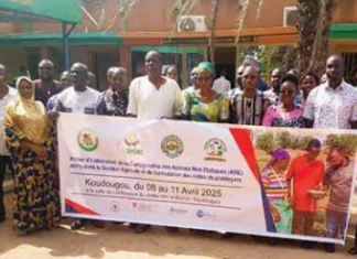 Politiques agricoles au Burkina: plaidoyer pour impliquer davantage les acteurs non étatiques