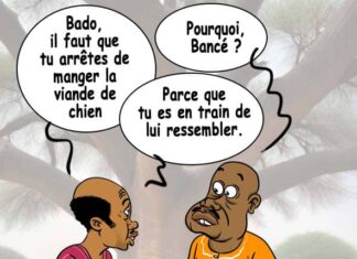 Sourire du 3-04-2025