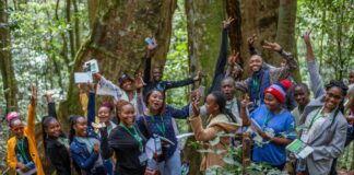 Autonomisation des jeunes dans la foresterie durable : AFF et ses partenaires lancent la communauté de pratique des jeunes Africains pour les forêts (AY4F) en virtuel