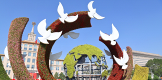 Xi Jinping appelle à la construction d’une communauté d’avenir partagé avec les pays voisins