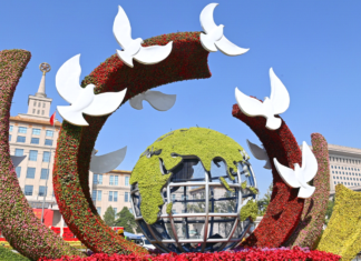 Xi Jinping appelle à la construction d’une communauté d’avenir partagé avec les pays voisins