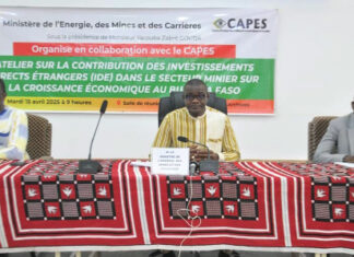 Secteur minier burkinabè: Impact limité des Investissements directs étrangers sur la croissance économique