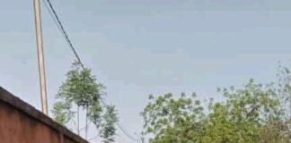 Incivisme routier à Dédougou : Une centaine de contrevenants au code de la route soumis à des travaux d’intérêt général