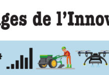 Déforestation : le charbon écologique, une alternative prometteuse