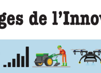 Déforestation : le charbon écologique, une alternative prometteuse