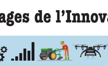 Déforestation : le charbon écologique, une alternative prometteuse