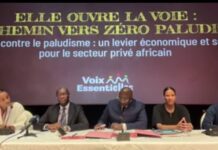 Paludisme en Afrique: Speak Up Africa mobilise le secteur privé pour éliminer