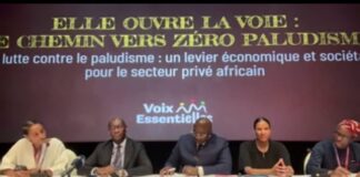 Paludisme en Afrique: Speak Up Africa mobilise le secteur privé pour éliminer